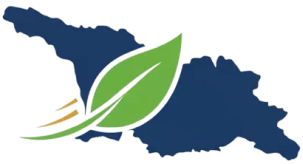 Georgia Residency & Immigration